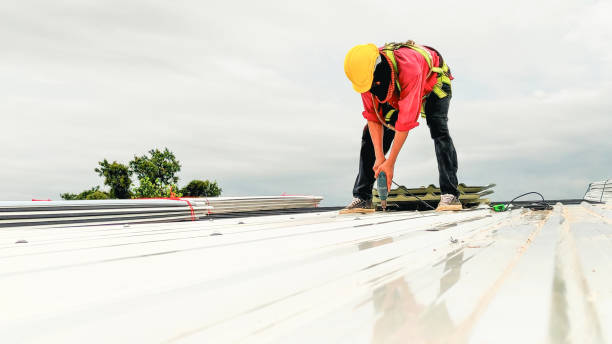 Best Roof Moss and Algae Removal  in Merrick, NY