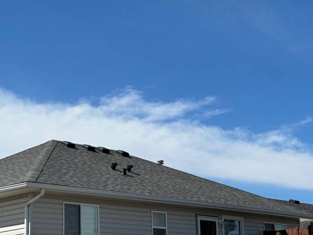 Best Metal Roofing Installation  in Merrick, NY